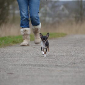 Samen wandelen