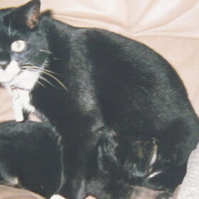 mindy met 1 van de pups