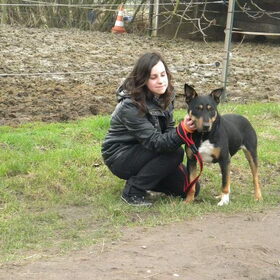 Diesel en ik (ex-asielhondje)