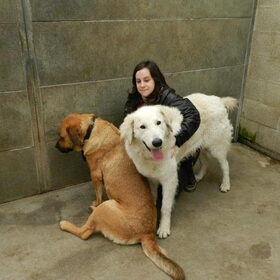 Knuffel momentje tussen Betsy, Kiraj en ik (ex-asielhondjes)