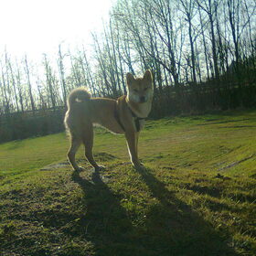 Supermodel Kenai