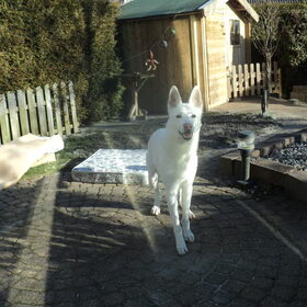 Mike in de tuin