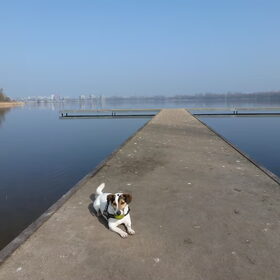 Bij het meer.