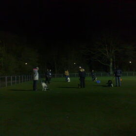 Training - Samen met Diesel en Bailey