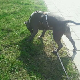 Diesel!