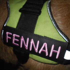 FENNAH op Fennah's Julius K9-tuig, dank u Jan van Driel!