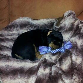 welterusten