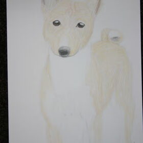 Tekening in kleur