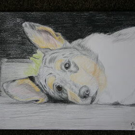 Tekening in kleur