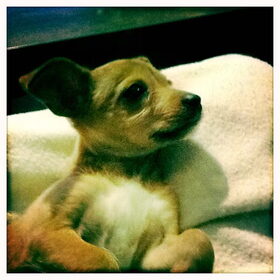 Sleepy....