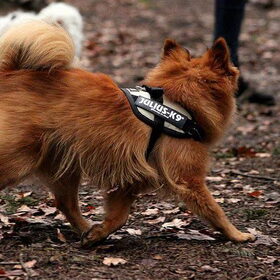 Hp Wandeling 18-3-12