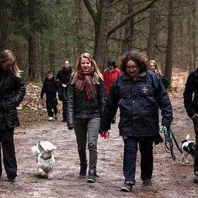 Hp wandeling 18-3-12