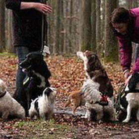 Groepsfoto hp wandeling 18-3-12