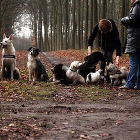 groepsfoto zwolse bos