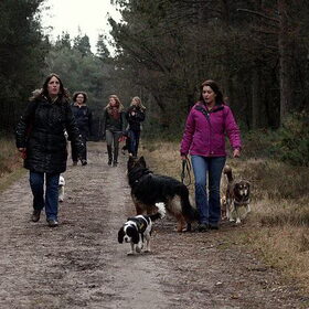Zwolse bos