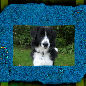 Hondenfoto van MaSpi///