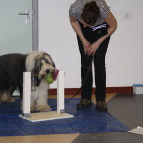 Duuk beoefent het spel met de draaiende bekertjes @ workshop…