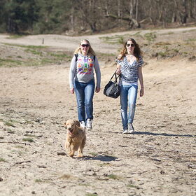 Hondenfoto van Karin & Levi