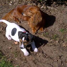 Samen in het zonnetje!