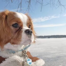 Ella in winterwonderland Momenteel doen we met deze foto mee aan…