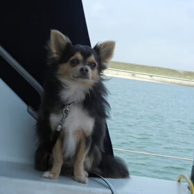 Storm heerlijk mee op onze zeilboot