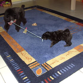 wie wint er???????