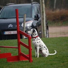 Wachten is ook belangrijk