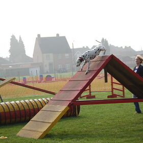 Met haar slanke lende over de top