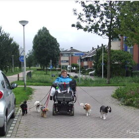 walking whit dogs