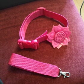 Zelfgemaakte halsband, verstelbaar van 38 tot 56 cm, 3 cm breed…