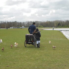papa en maya met de chihuahua's