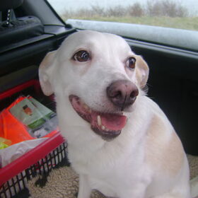 Laura in de auto, net lekker gewandeld :D