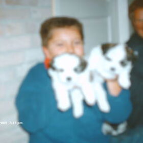 Turbo en zijn broertje als pup van 5 weken