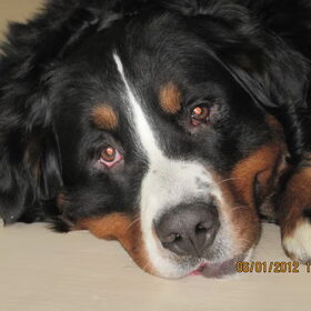 Onze Kay