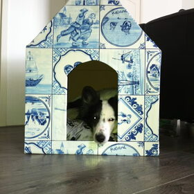 Hondenfoto van Amigo en K.C.