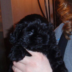 Joep 5 weken