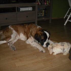 Larah met Ferre