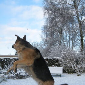 Sneeuw Sneeuw Sneeuw Sneeuw Sneeuw Sneeuw!!!!