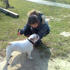 Hondenfoto van Sigrid, Sandy, Diva & Nala