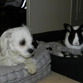 Dempsey en Demi Demany