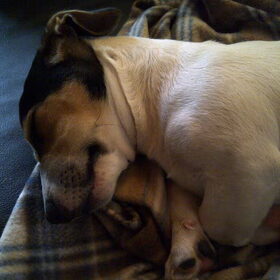 Babyvet?????waaaaaar.........