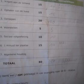 Fennah's rapport van het overgangsexamen om van A-klas naar de…