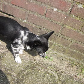 Hey,,wat is dat?