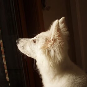 such a beauty!