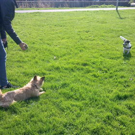 Floortje & Melo.