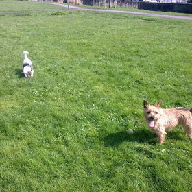 Floortje & Melo.