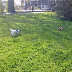Floortje & Melo.