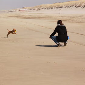 Hondenfoto van Michal & Plato