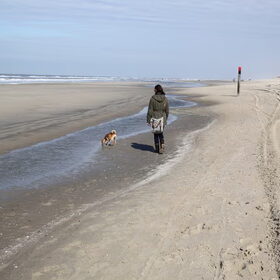 Hondenfoto van Michal & Plato
