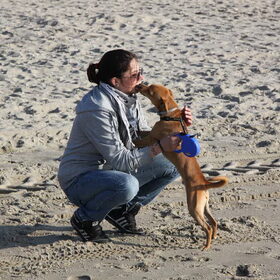 Hondenfoto van Michal & Plato